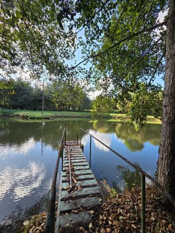 Achat - Terrain de loisirs, bois, étangs | Étang Vimartin-sur-Orthe 53160 18 m 2 6031 m 2
