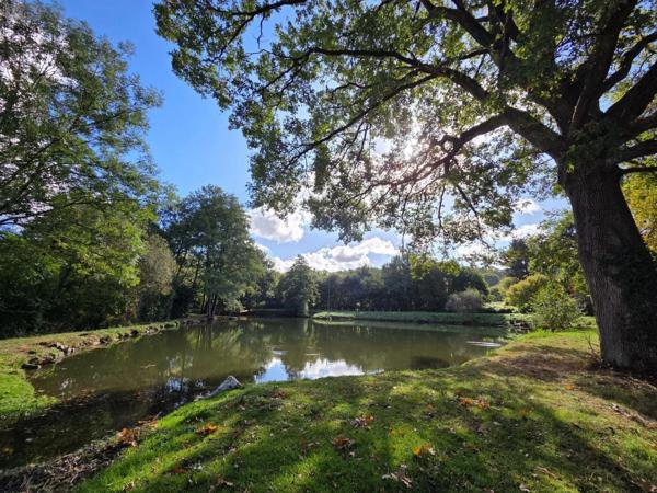 Achat - Terrain de loisirs, bois, étangs | Étang Vimartin-sur-Orthe 53160 18 m 2 6031 m 2