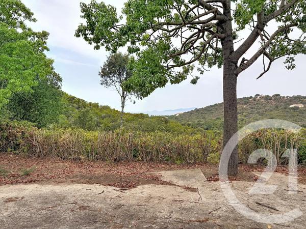 Maison à vendre  9 pièces - 291,23 m 2   PIETROSELLA  - 201