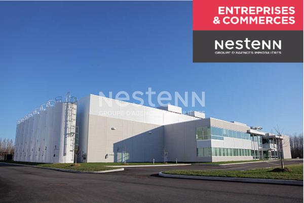 Entrepôt / local industriel ou commercial Le Puy En Velay 1000 m2