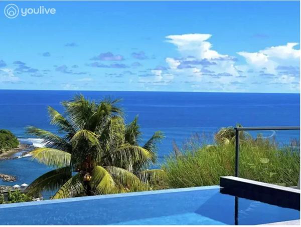 Villa – 6 pièces – 436m2- terrain 3500m2- Le Marigot Martinique