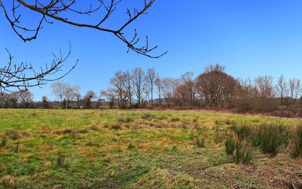 Maison à vendre    8 pièces • 280 m2 Bain-de-Bretagne