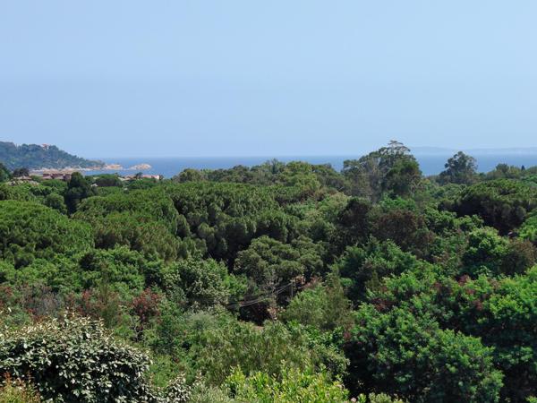 MAZET VUE MER DANS UN ECRIN DE VERDURE