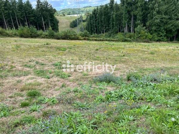 Terrain - 1181 m²