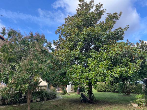 Maison à vendre 5 pièces aux portes de CHALAIS (16) avec grand jardin arboré clos et verger.