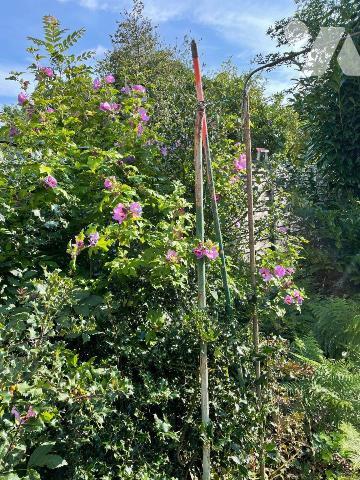 Maison à vendre à TOURCOING, rue Myron Herrick ! Proche des commerces et des transports. Venez ...