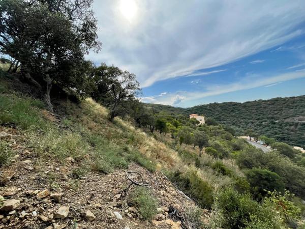 Vente Terrain 1575 m2 à Le Boulou