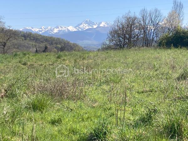 Terrain de 1 021 m²