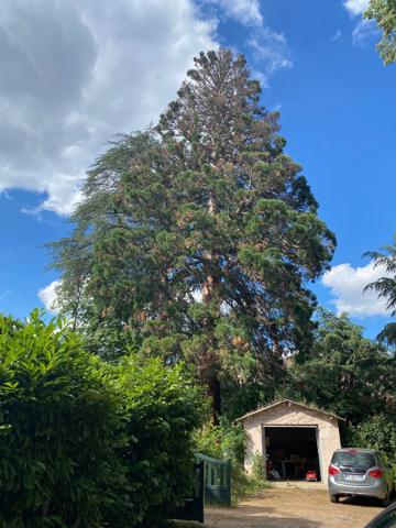 Maison Écully 5 pièce(s)