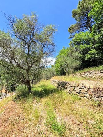 Terrain de 3 077 m²