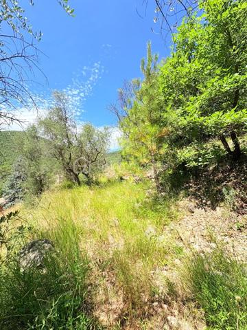 Terrain de 3 077 m²