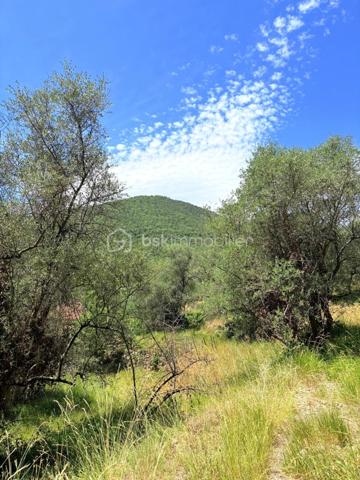 Terrain de 3 077 m²