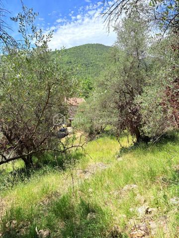 Terrain de 3 077 m²