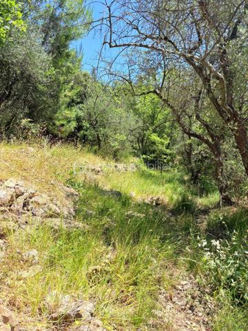 Terrain de 3 077 m²