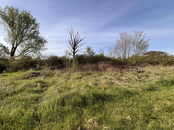 Terrain à vendre à Rodalbe (57340)
