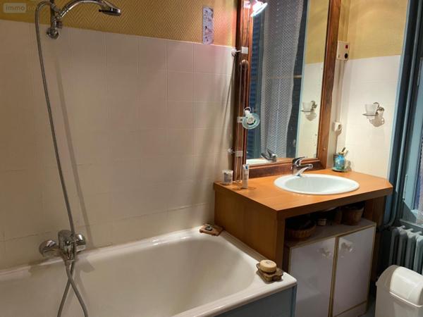 Maison de maitre à vendre à Châtillon-sur-Indre dans l'Indre (36700), ref : 1044945