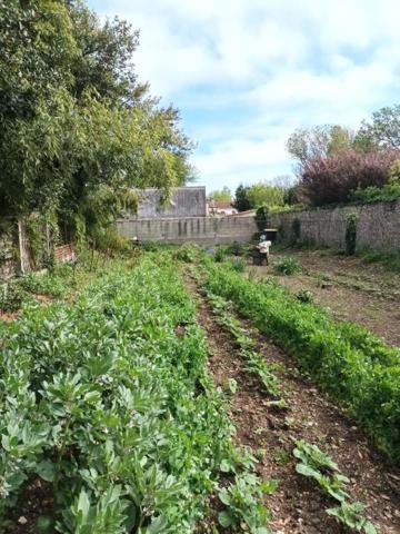 Terrain CONSTRUCTIBLE 17 La Rochelle centre Fétilly 477 m2
