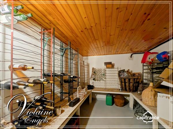 Grande maison familiale avec dépendances, piscine et vaste atelier à Pépieux (Aude – Minervois)