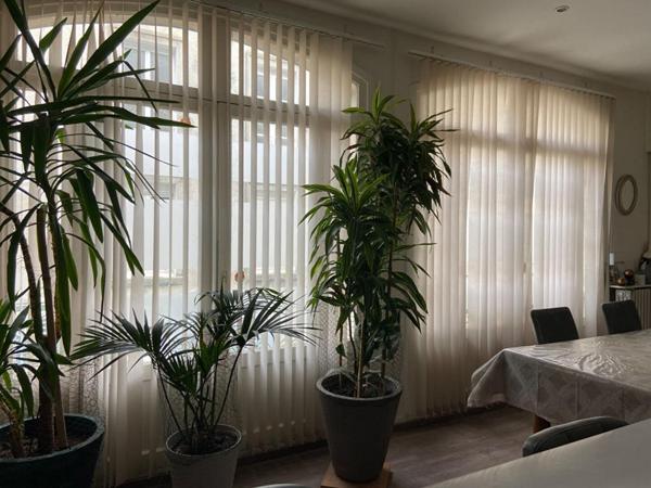 Maison et local commercial- Sable Sur Sarthe 8 pièce(s) 162 m2