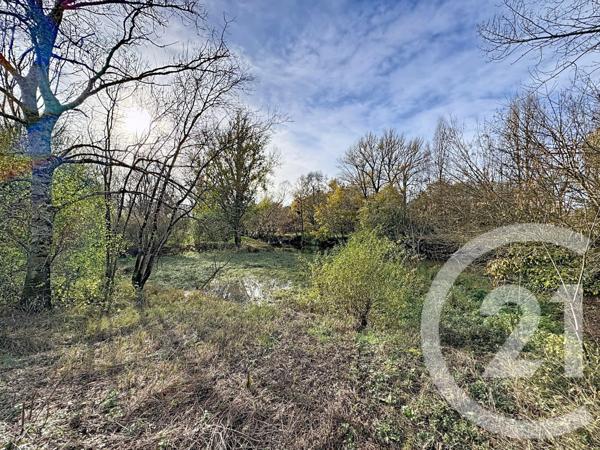 Terrain à vendre  4840 m2 BILLY - 41