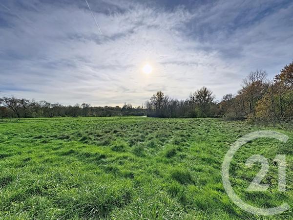 Terrain à vendre  4840 m2 BILLY - 41