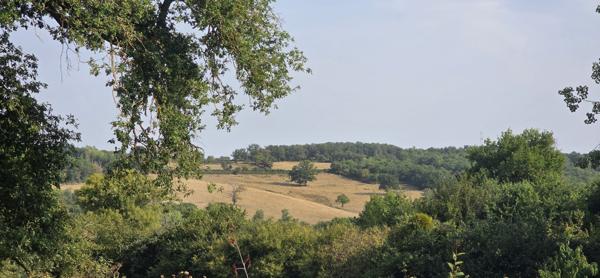 Maison à SAINT CIVRAN (36170)