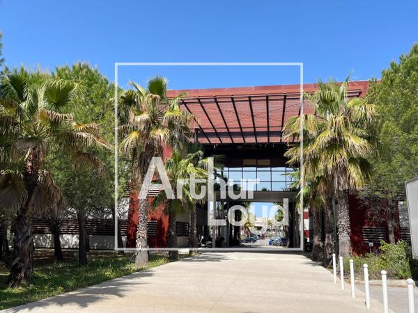 A LOUER BUREAUX RENOVES - MONTPELLIER - PARC CLUB DU MILLENAIRE - GRAND PARKING