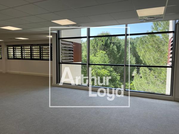 A LOUER BUREAUX RENOVES - MONTPELLIER - PARC CLUB DU MILLENAIRE - GRAND PARKING