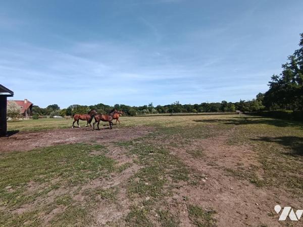 Vente Maison à Mézidon Vallée d'Auge