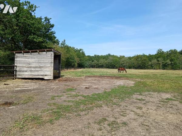 Vente Maison à Mézidon Vallée d'Auge