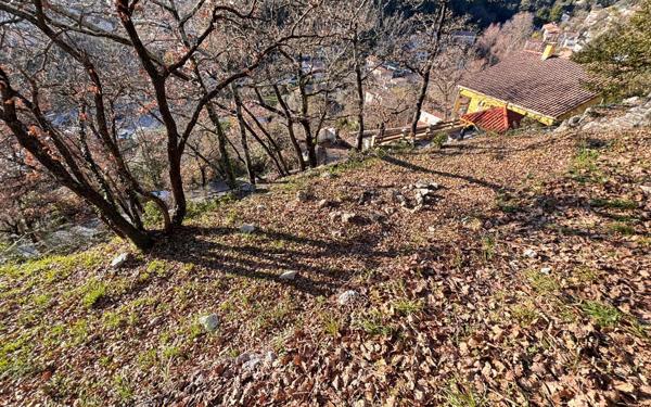 Terrain à vendre    Tourrette-Levens