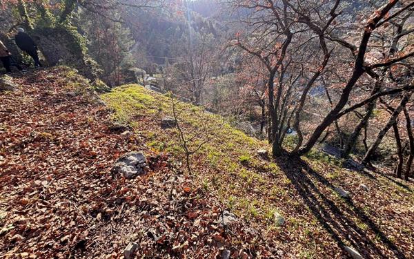 Terrain à vendre    Tourrette-Levens