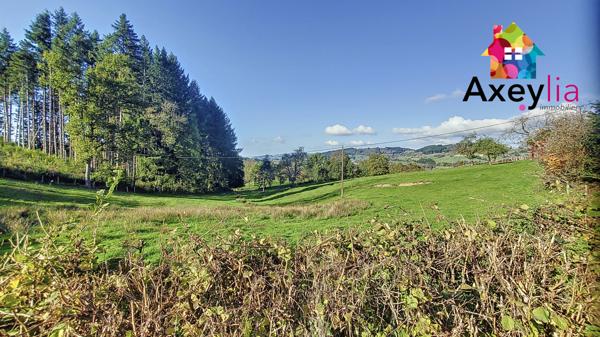 Chauffailles (71170) A VENDRE - SECTEUR CHAUFFAILLES- MAISONS AVEC TERRAIN -