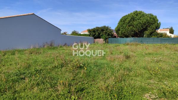 TERRAIN VIABILISÉ AVEC FRAIS DE NOTAIRE RÉDUITS - lot 15