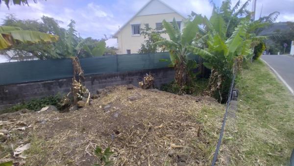 Manapany-Les-Bains. Terrain de 480 m² constructible R+1+C, avec tout à l'égout.