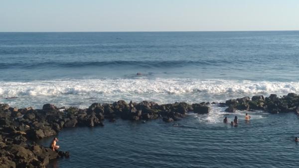 Manapany-Les-Bains. Terrain de 480 m² constructible R+1+C, avec tout à l'égout.