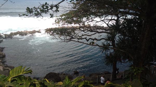 Manapany-Les-Bains. Terrain de 480 m² constructible R+1+C, avec tout à l'égout.