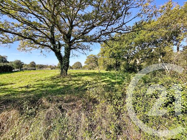 Terrain à vendre  1338 m2 ST LYPHARD - 44