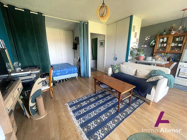 Appartement 1 pièces 31 m² - face Hippodrome