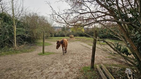 Terrain à vendre 170 000 € Magny-en-Vexin 2318 m² DPE
