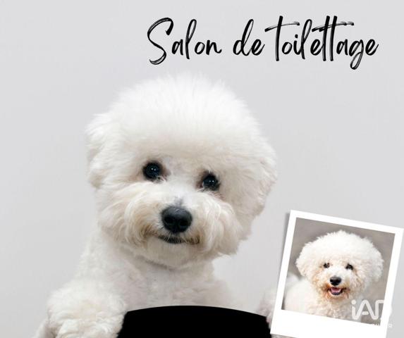 Boutique/Local commercial à vendre 29 m² Nice