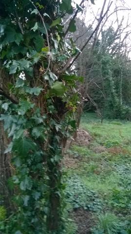 À vendre : PESSAC, secteur Alouette. Terrain à bâtir de 409 m², idéalement situé pour réaliser votre projet de construction. Opportunité rare dans un quartier recherché. Ne manquez pas cette chance !