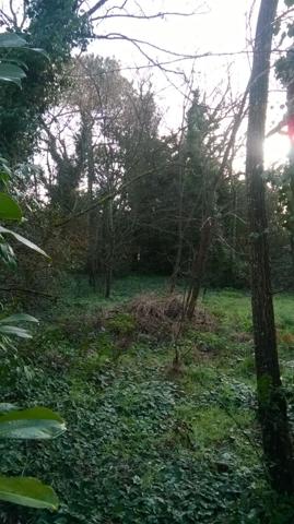 À vendre : PESSAC, secteur Alouette. Terrain à bâtir de 409 m², idéalement situé pour réaliser votre projet de construction. Opportunité rare dans un quartier recherché. Ne manquez pas cette chance !