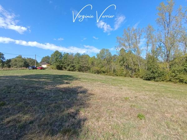 Terrain à vendre de 3 705 m²