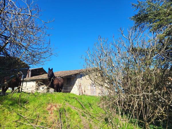 Vente / Corps de ferme