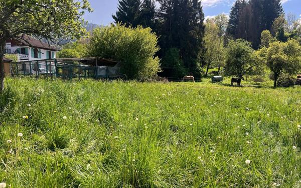 Terrain à vendre    Draillant