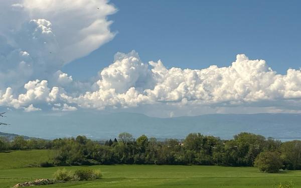 Terrain à vendre    Draillant