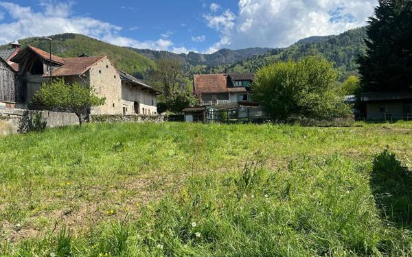 Terrain à vendre    Draillant