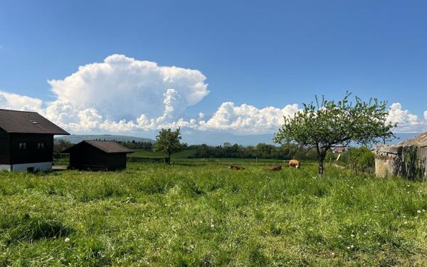 Terrain à vendre    Draillant