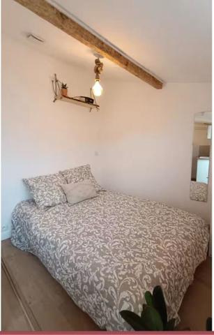 petite maison composée de deux studios